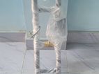 FZ Bike Leg Guard