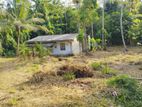 ( G/101) House For Sale In Ganemulla....
