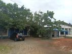 (G/116) Commercial Building For Sale In Kiribathgoda Town