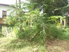 (G/127) Valuable 10P Land For Sale In Kadawatha