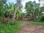 (G/163) Valuable 36P Land For Sale In Gampaha City