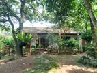 (G/189) Valuable House for Sale in Kadawatha