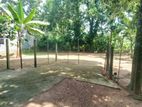 (G/208) Valuable 20.5p Land For Sale In Ganemulla