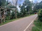 (G/256) Valuable 10P Land For Sale in Ragama
