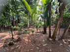 (G/295) Valuable 7.85P Land For Sale In Ragama
