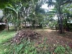 (G/391) Valuable 16 P Land for Sale Ragama