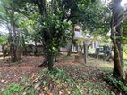 (g/391) Valuable 16P Land For Sale Ragama