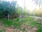 (g101) Valuable Land for Sale in Kottawa