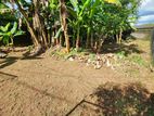 (G66) For Sale: Prime Land in Pannipitiya (Kottawa)