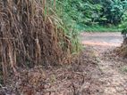 Land for Sale in Galle