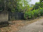Land for Sale Wanchawala