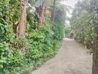 ගාල්ල බද්දේගම ප්‍රධාන පාරට 20m දුරින් මිපාවල ඉඩමක් විකිනිමට ඇත
