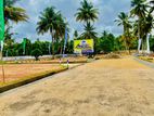 ගාලු පාර අයිනෙන්ම බිම් කොටස් වාද්දුව තල්පිටියෙන් D29