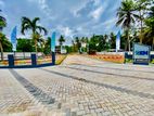 ගාලු පාර අයිනෙන්ම සංචාරක ආකර්ෂණය දිනූ වාද්දුව තල්පිටියෙන් D29