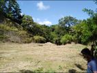 Galagedara 303 Perches of Land for Sale