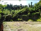 Galagedara 303 Perches of Land for Sale