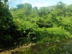 Galagedara - Kandy Kurunegala Main Road 25 Acres of Land for Sale