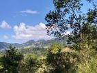 Galaha Bellwood Land for Sale With Panoramic View