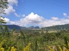 Galaha Bellwood land for sale with panoramic view