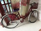 Galaxy Bicycle