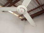 Ceiling Fan