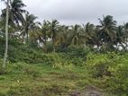 Galle - 10 Acres for Sale
