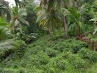 Galle : 130 perches Land for Sale in Godagedara