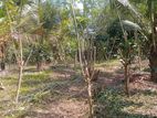 GALLE : 50 PERCHES LAND FOR SALE IN AHANGAMA