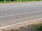 Galle : 90P Land (110ft Road frontage) for Sale Facing Baddegama
