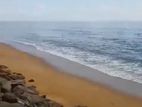 Galle Bussa Beach front Land for Sale ( RS- 400)