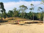 Galle – Imaduwa | Only 3 Land Plots Left!