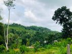 Galle Jayanthi Mawatha Land for Sale