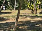 Galle Mihiripenna 35 Perches Land Available For Sale