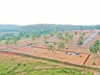 Galle - Precious Land for Sale