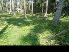 Galle Seenigama Prime Location 15 Perches Land for Sale ...