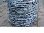 Galvanized Barbed Wire (steel)