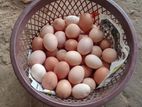 Red Eggs