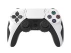 Gaminja P48 Wireless Gamepad