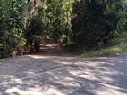 Land for sale Haputale