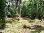 Gampaha : 124 Perches Land for Sale