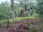 GAMPAHA : 225 Perch Prime Land for Sale in Dewalapola.
