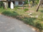 Gampaha: 30.75P Highly Residential Land For Sale in Gampaha.