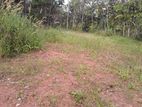 Gampaha : 86P Land for sale at facing Udugampola, Uggalboda