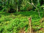 GAMPAHA : 90 PERCHES PRIME LAND FOR SALE