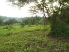 Gampaha Bear Land for Sale (RS - 278)