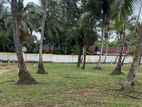 Gampaha City Land for Sale