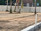 Gampaha City Limit