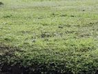 Gampaha City Limit Land for Sale