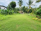 Gampaha city limit valuable land for sale