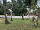 Gampaha City Limits Land for Sale